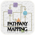 Browse pathways involving human phosphatases and their substrates