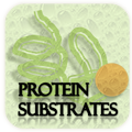 Browse experimentally verified protein substrates of human phosphatases